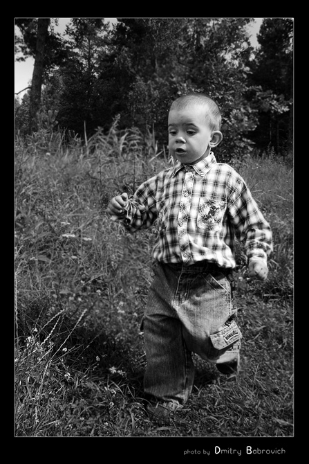 о целеустремленности