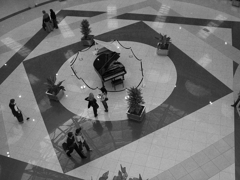 белый и черный...