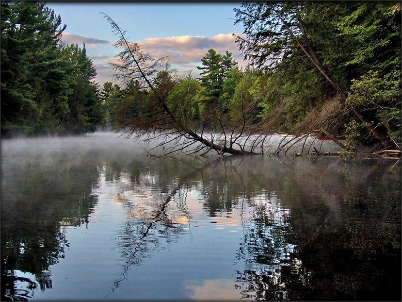 непакорлівасьць. здані мускокі-ракі ..3