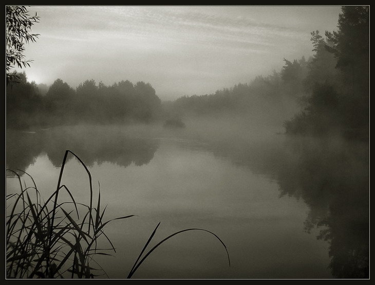 утром на речке