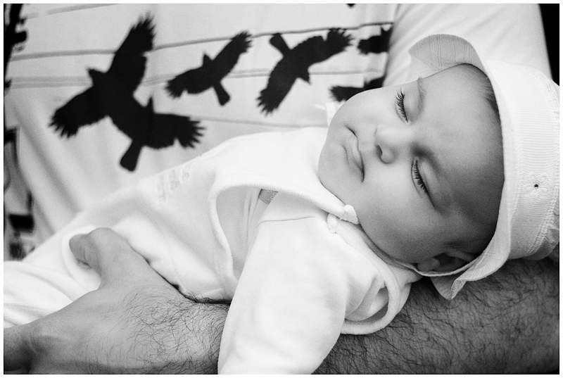 сны о птицах