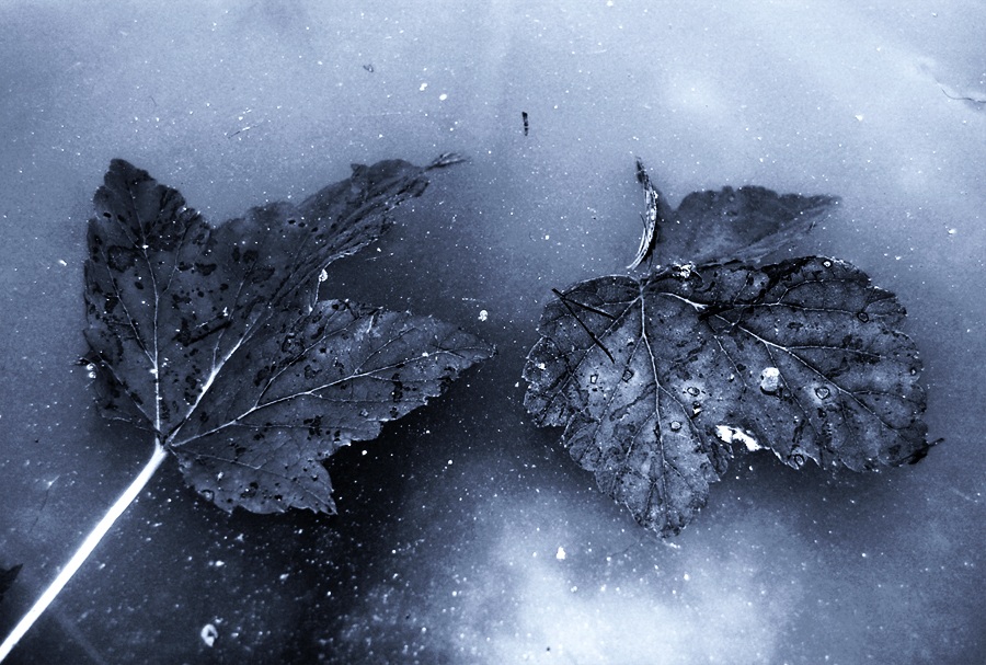 Безмолвие...