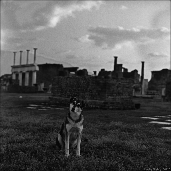 Рекс и Помпеи