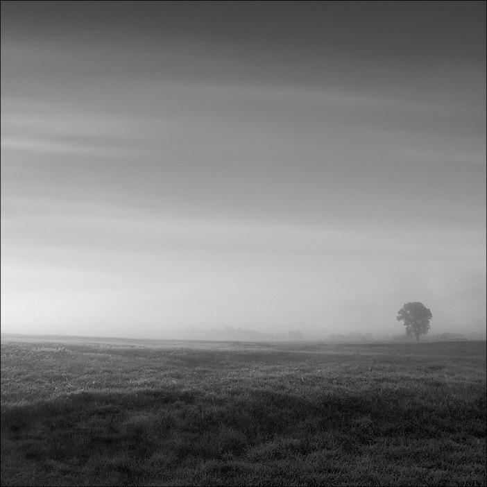 утренний дозор