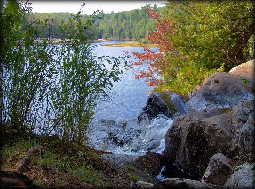 заўтрашняя восень у дзвярах..