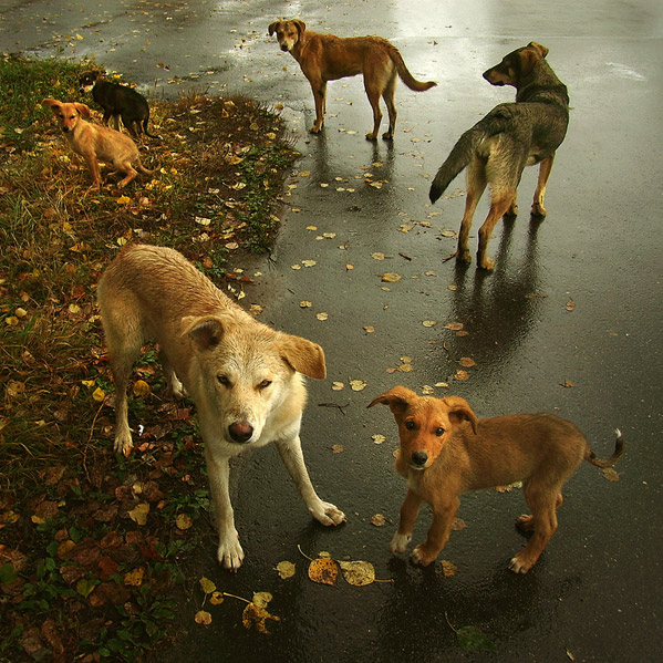 Семейный портрет