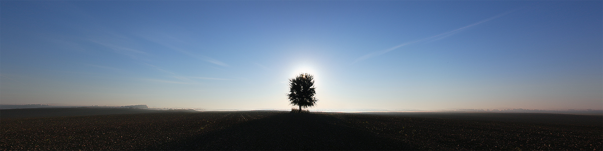 Длинное) утро