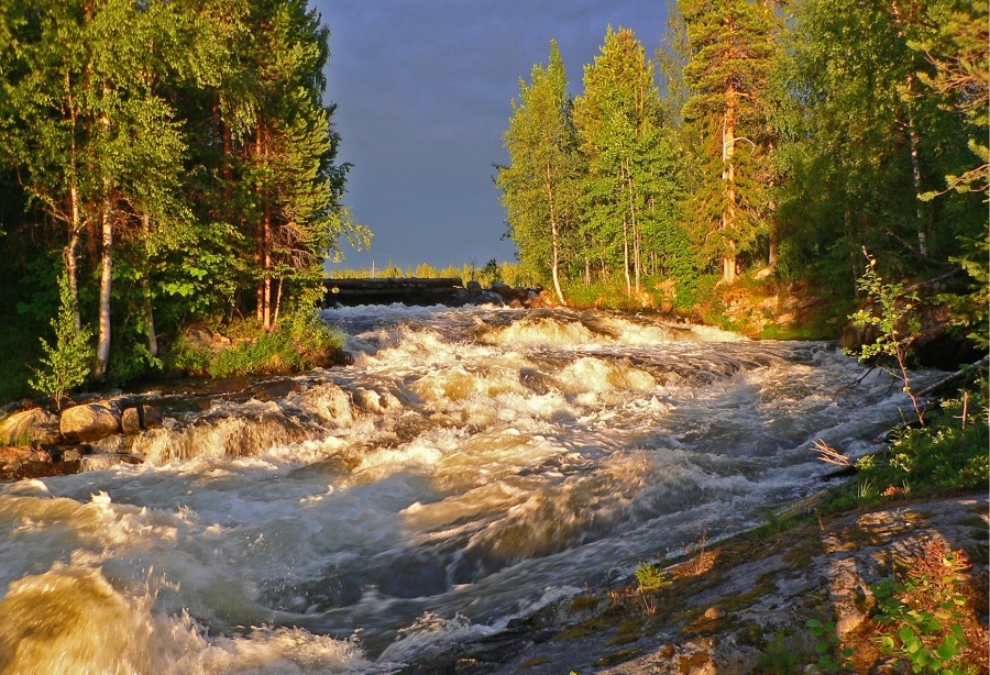 После грозы