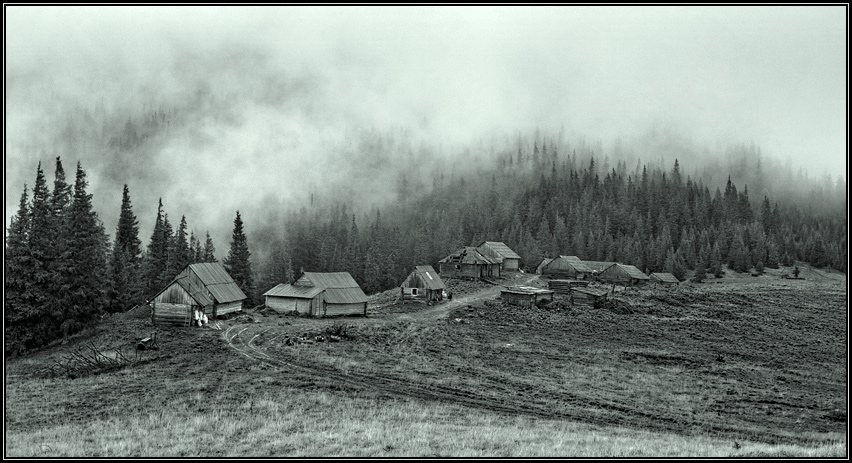 Жизнь на полонине заканчивается, когда из нее уходят коровы...
