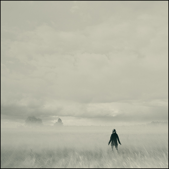 белым бело ..