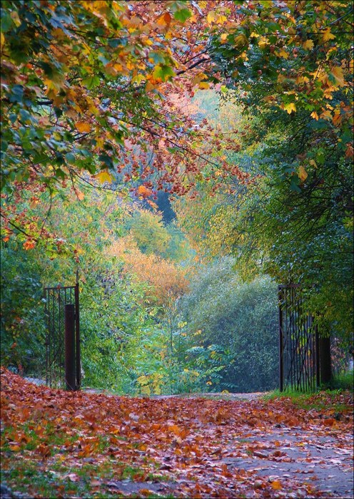 Буйство осени