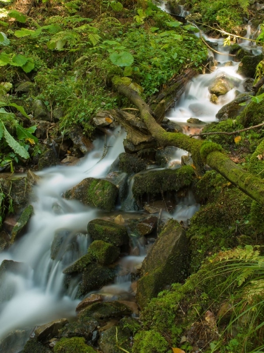 На склонах Карпат