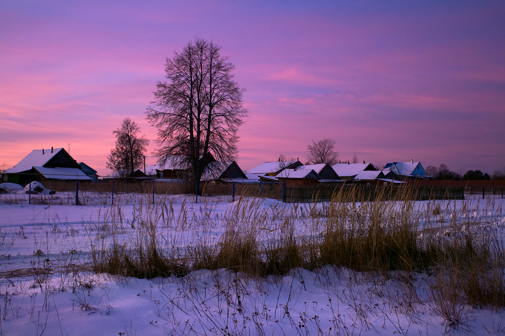 Зимнее утро