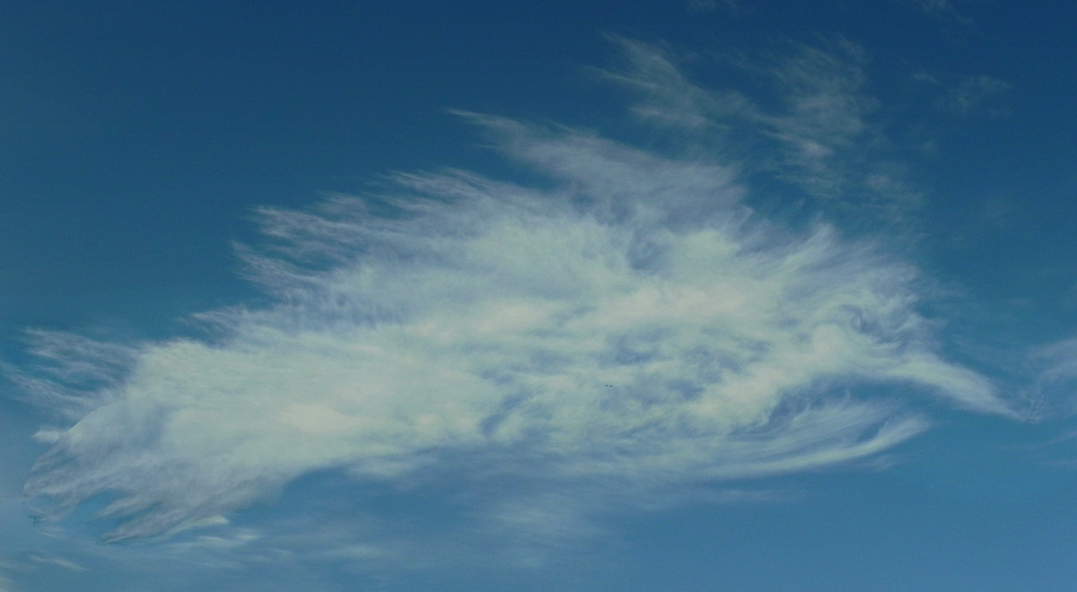 ЗЛАЯ РЫБА-МЕЧ