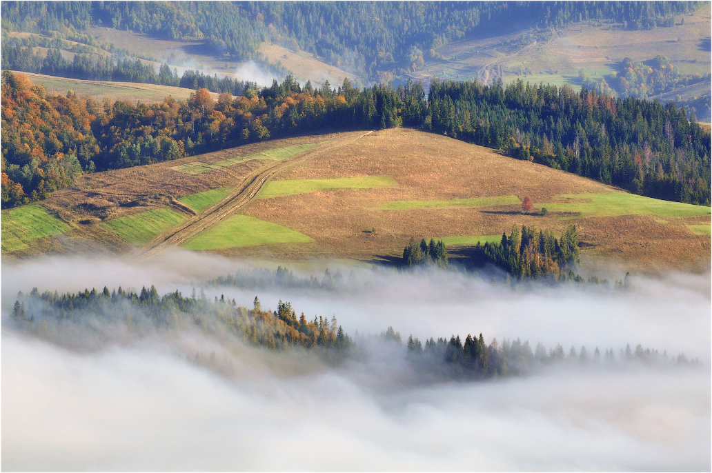 Вспоминая осень...