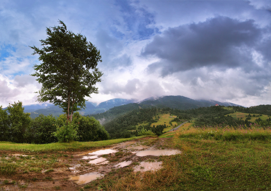 Прохладным летом в Карпатах