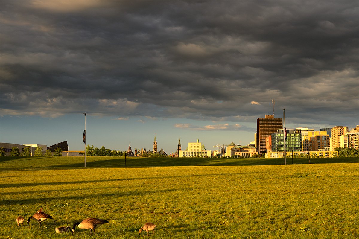 do you really need snow at such beautiful day ?