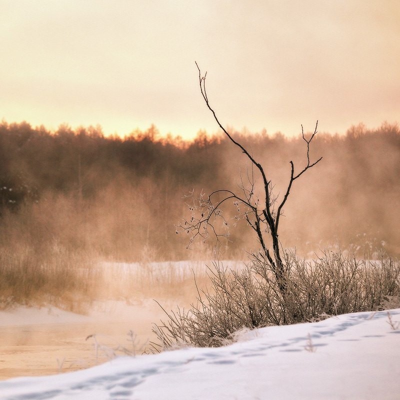 Зимняя открытка