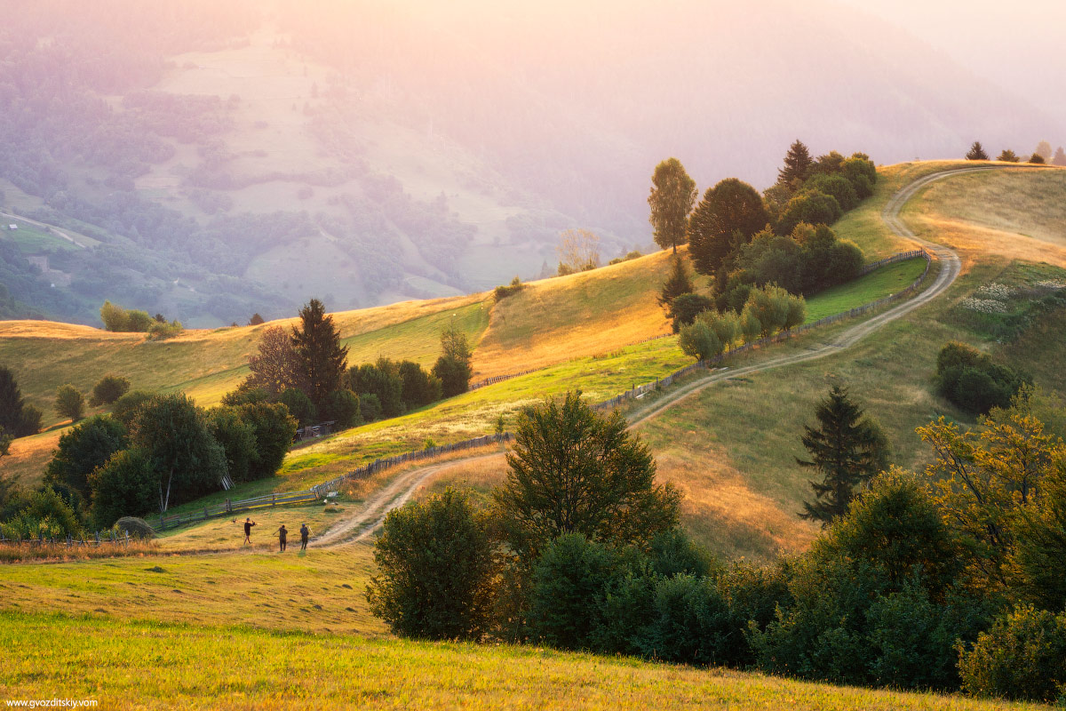 Солнечные Карпаты