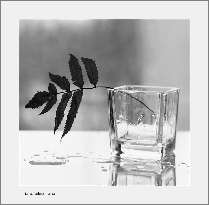 Дождя отшумевшего капли....