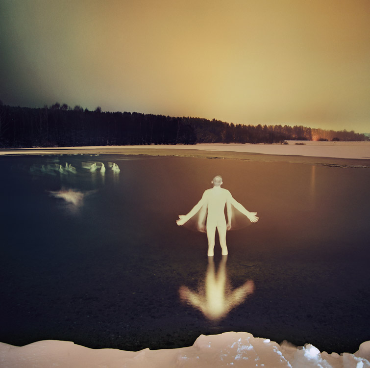 пугание лебедей