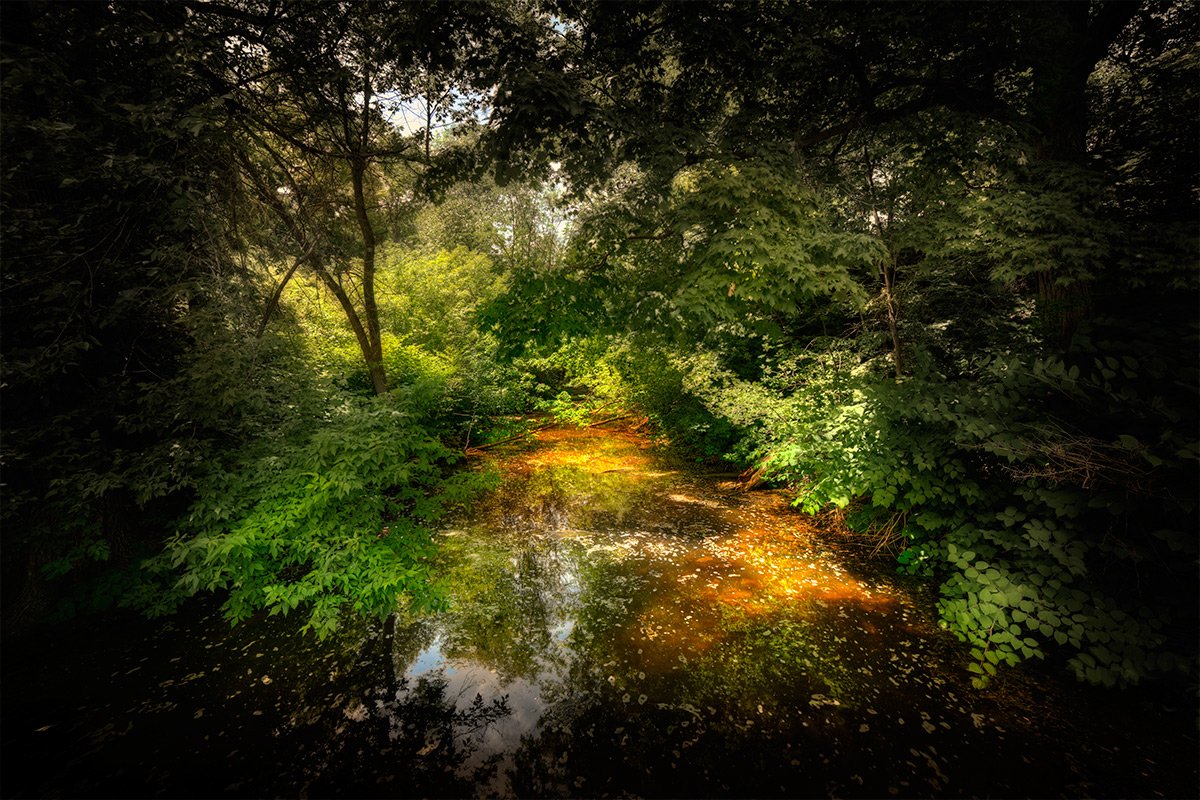 дебрюшки....