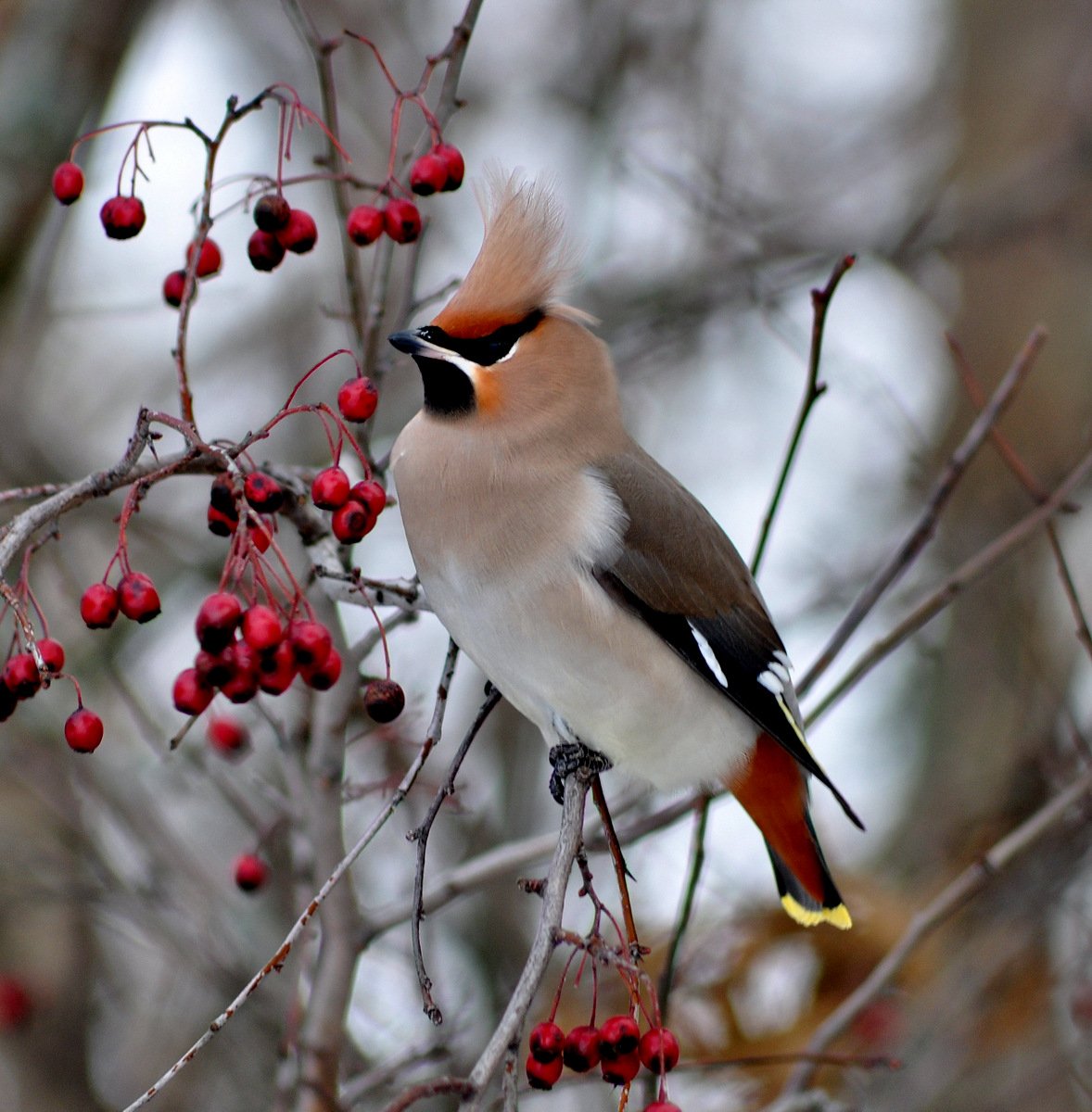 Во всей красе