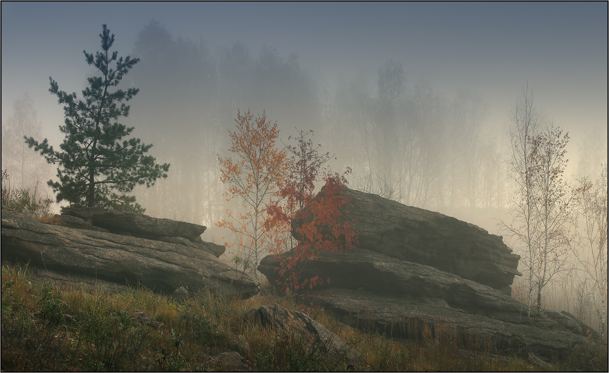 Октябрьские туманы (2)