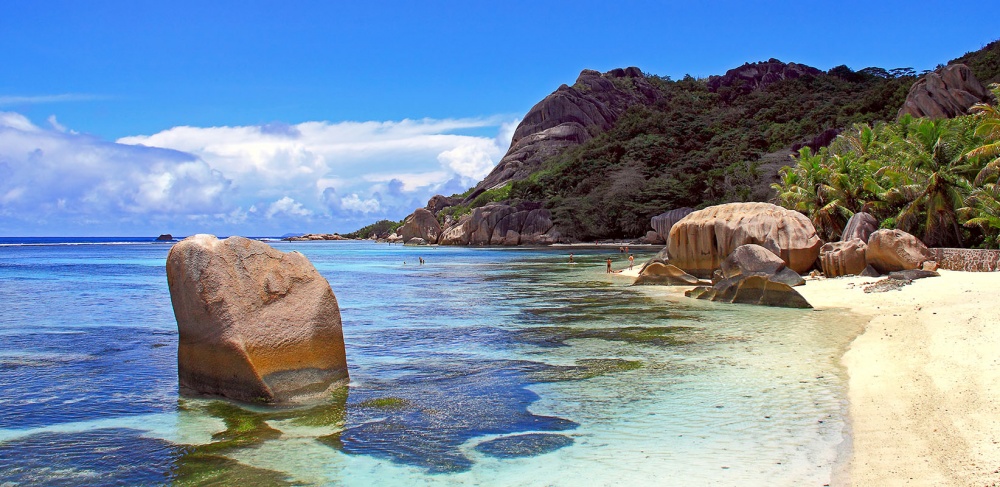 Сейшельская "новогодняя"