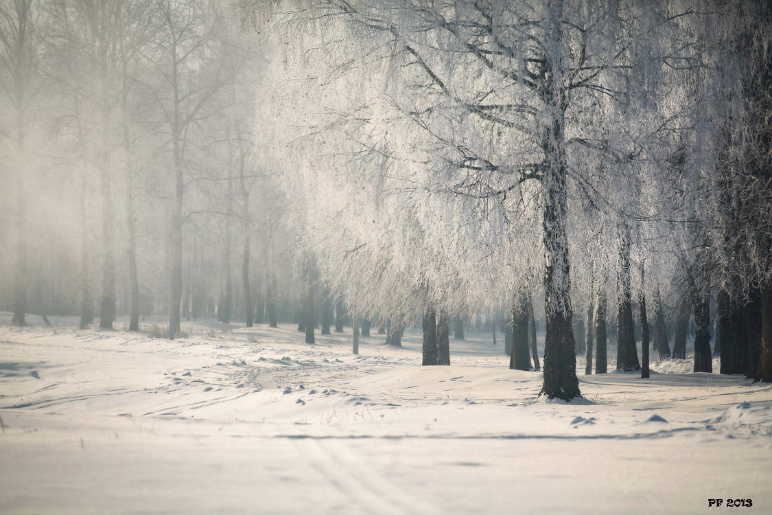 С Рождеством!