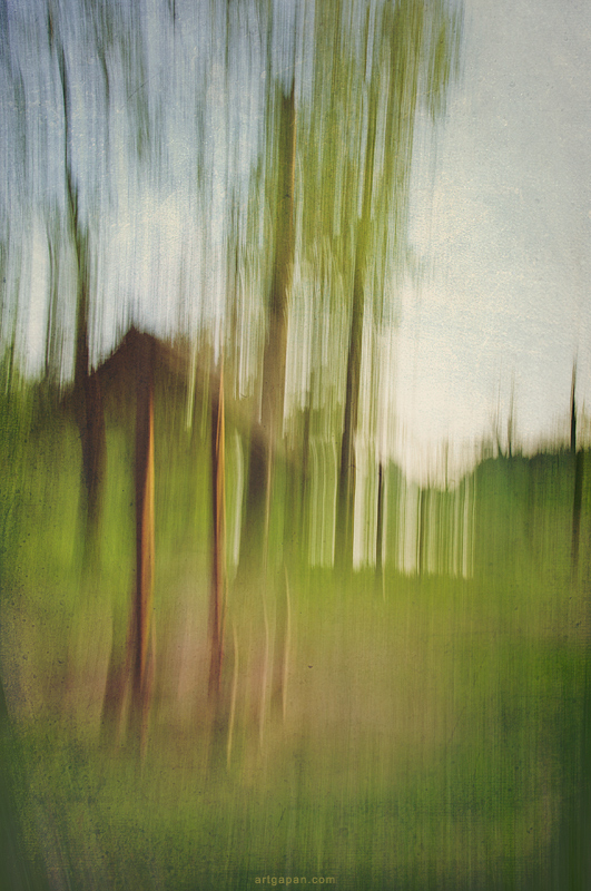 Лето в Лошицком парке...