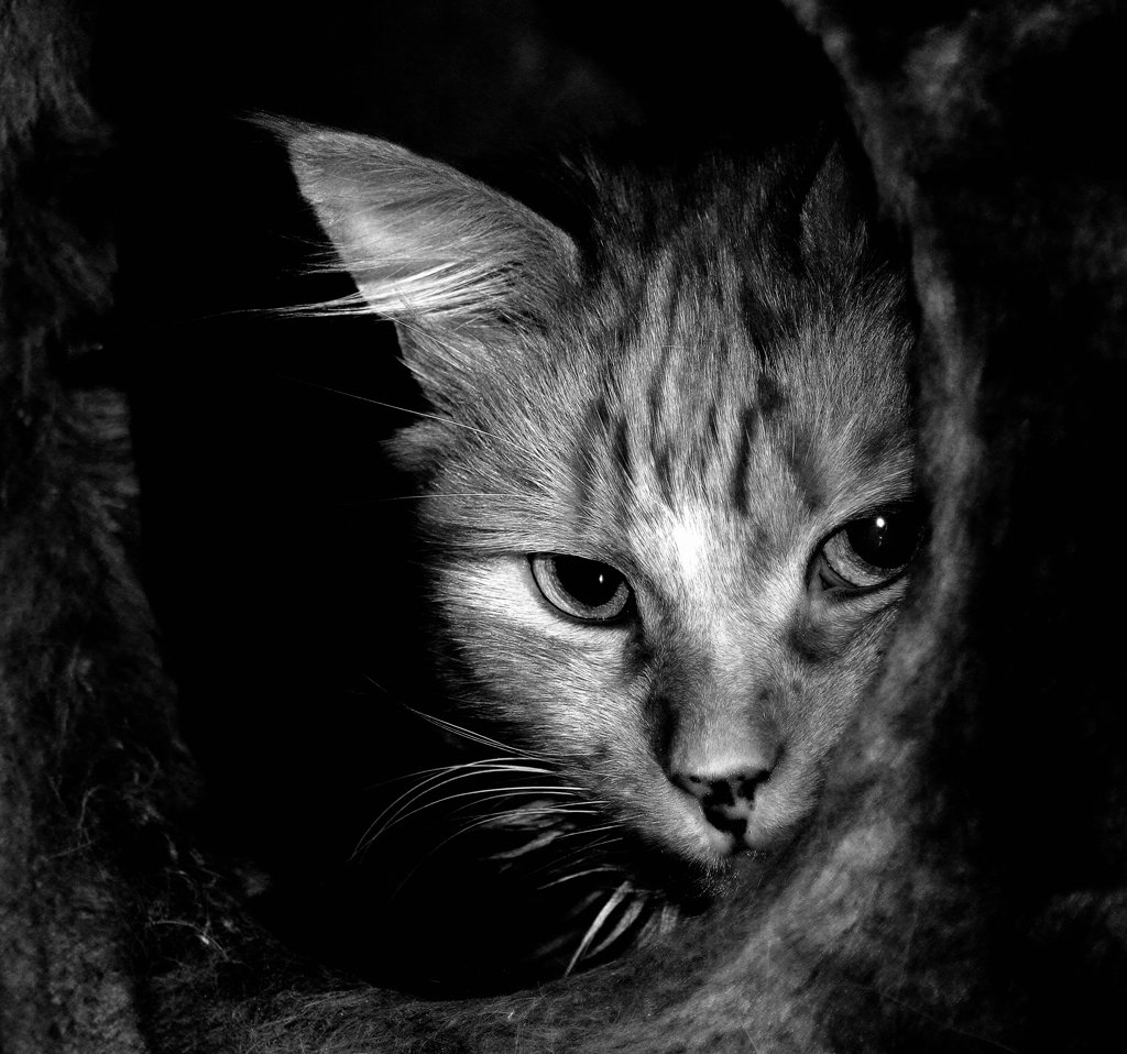 Узник воображения!