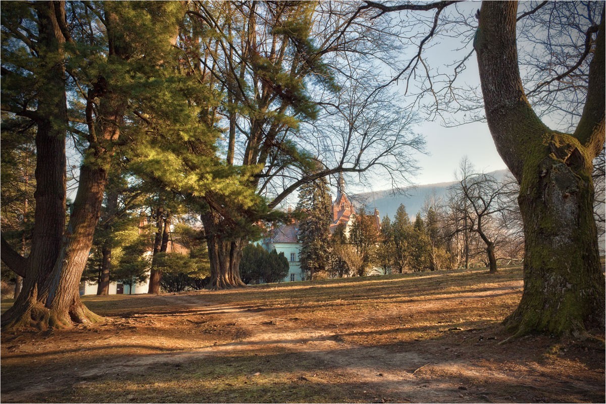 У замка Шенборнов