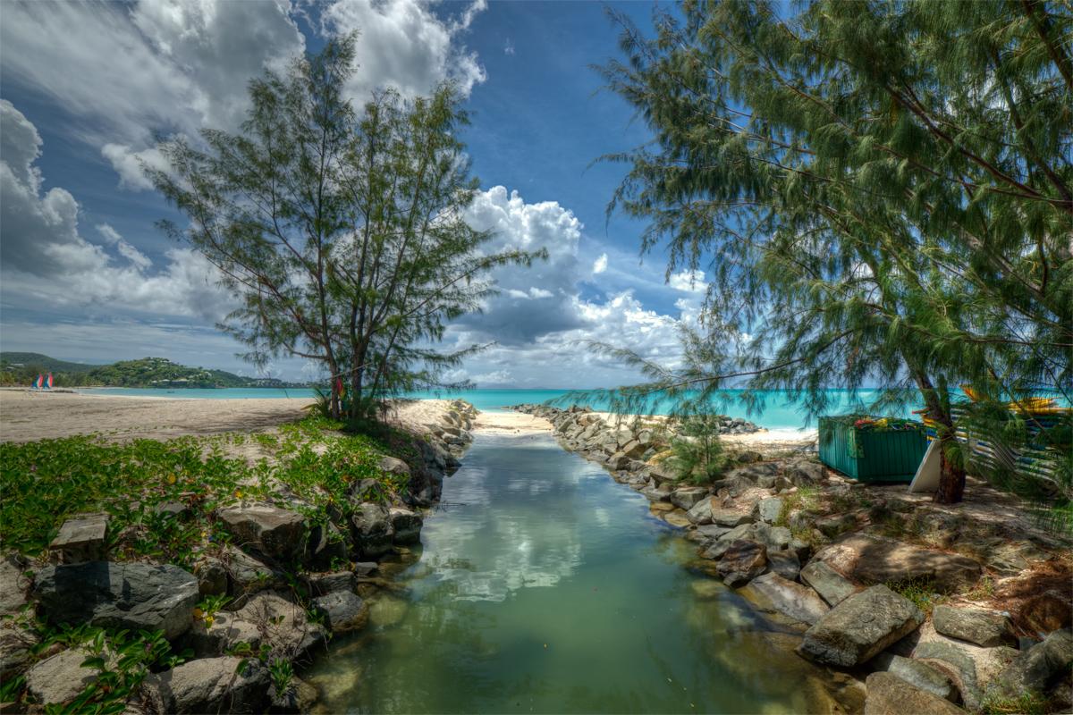 Dream Fusion-opposite side