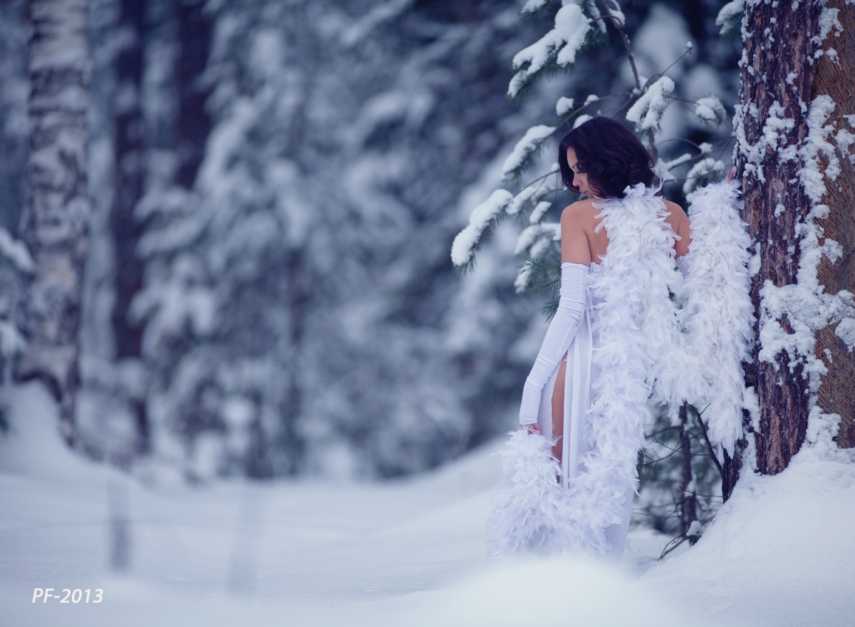 Рождественские зарисовки