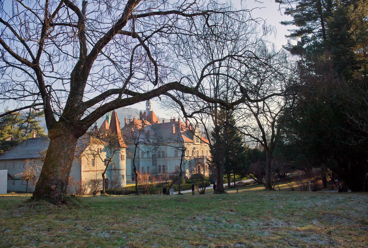 Замок Шенборнов