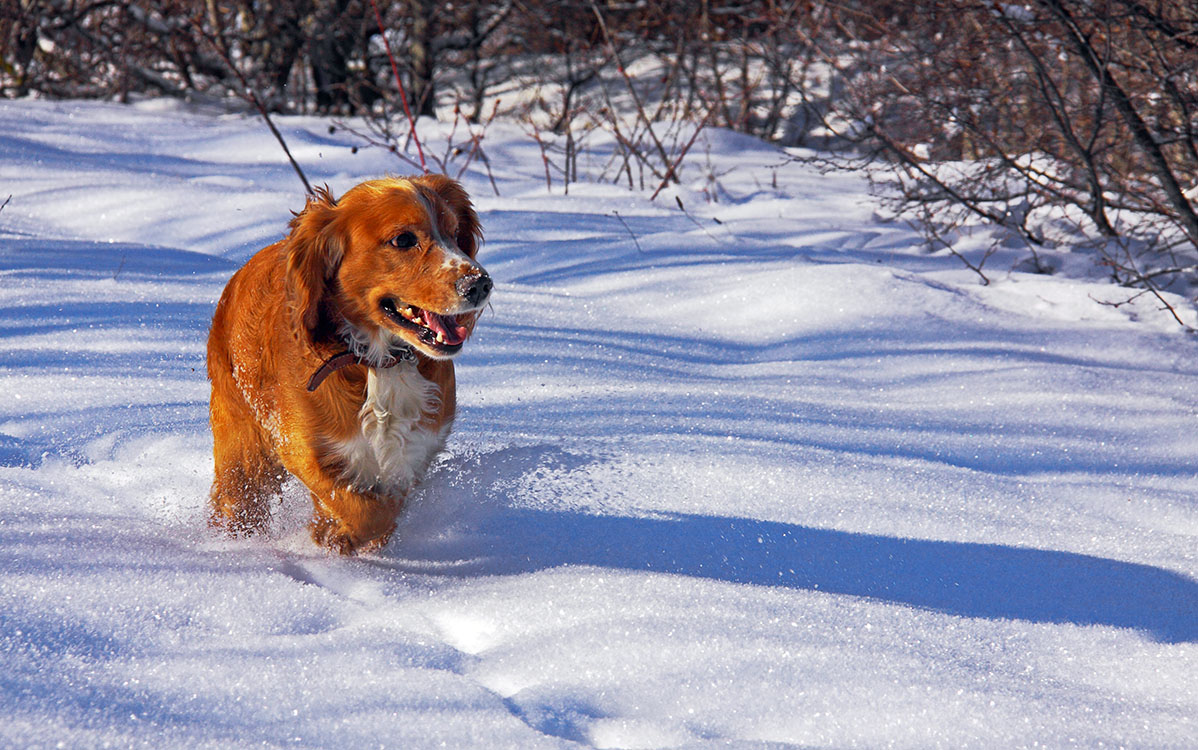 Иду на взлет