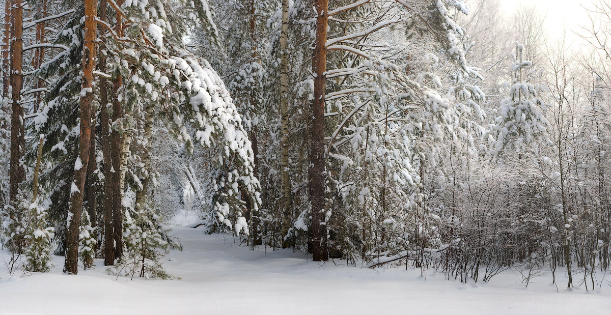 Зимний сюжет