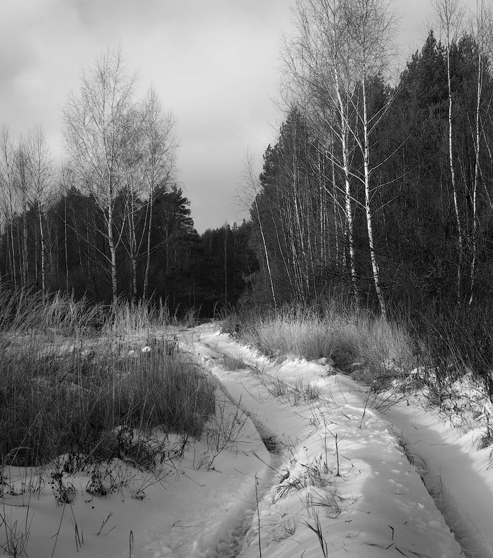 По первому снегу