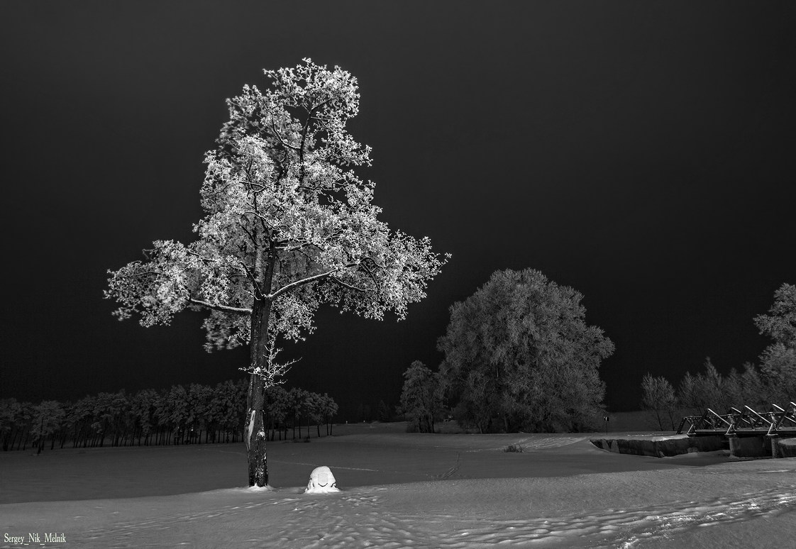 дерево с ветками