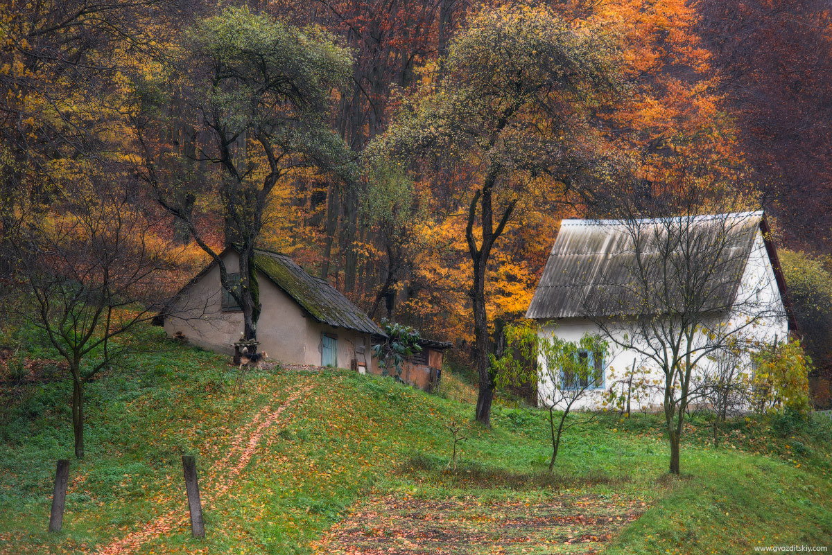 На задворках осени