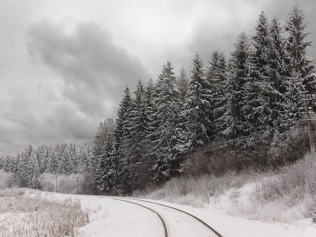 Дорога в Теплом лесу