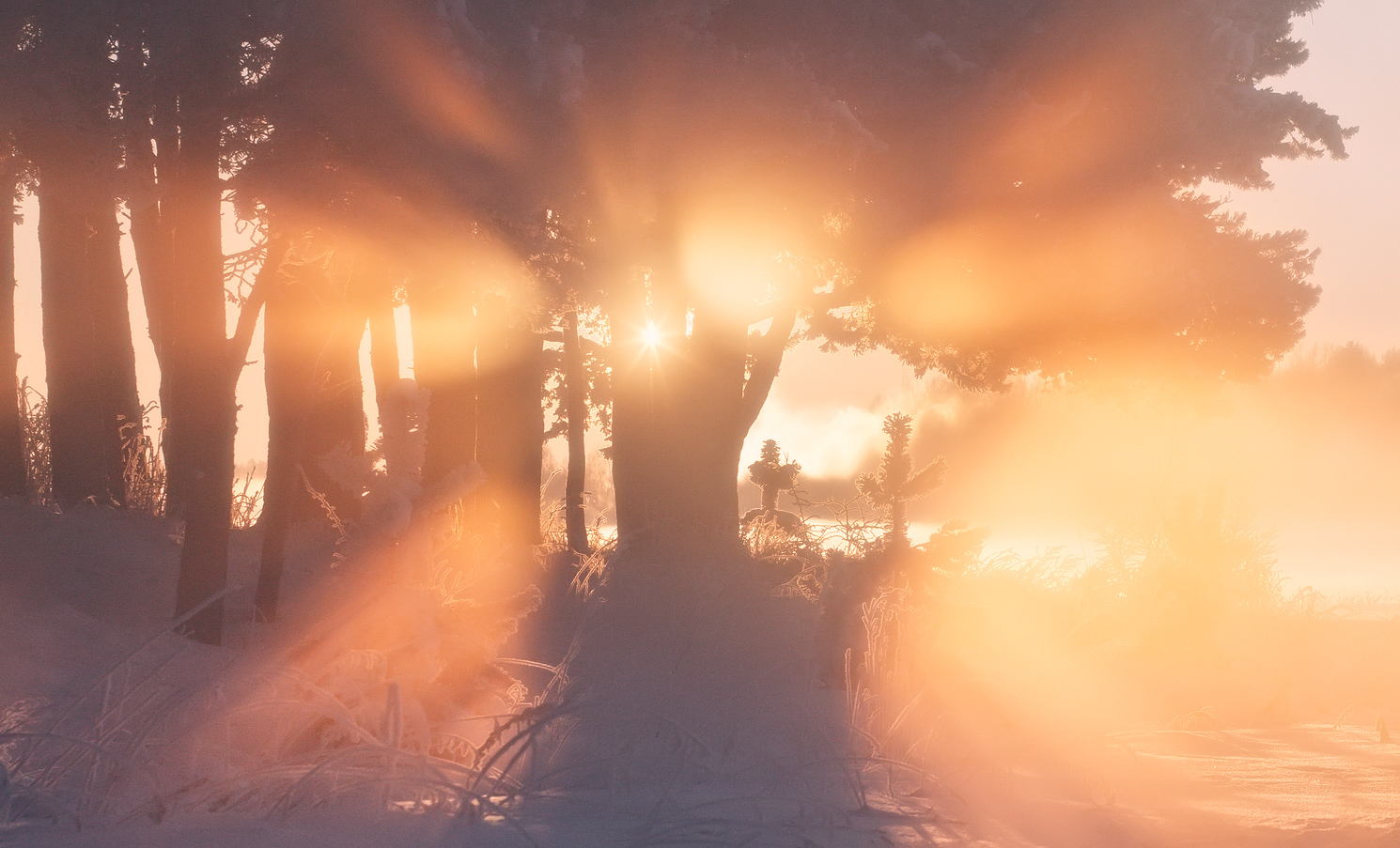 .........Прикоснуться к Солнцу.......