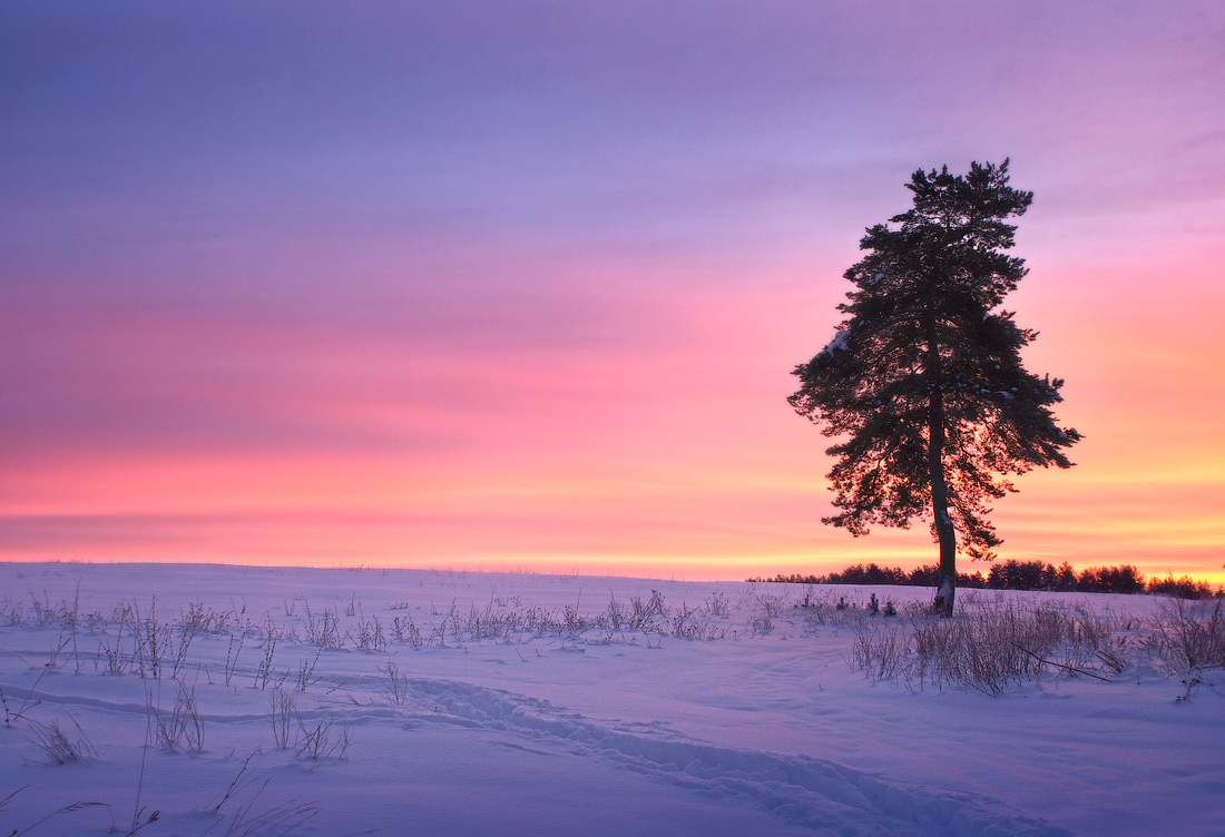 Многообещающее утро...
