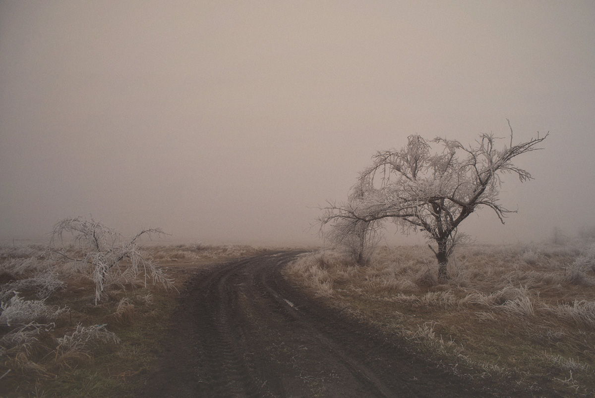 В степях Кубани II