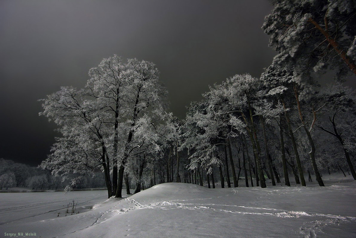 таежный роман