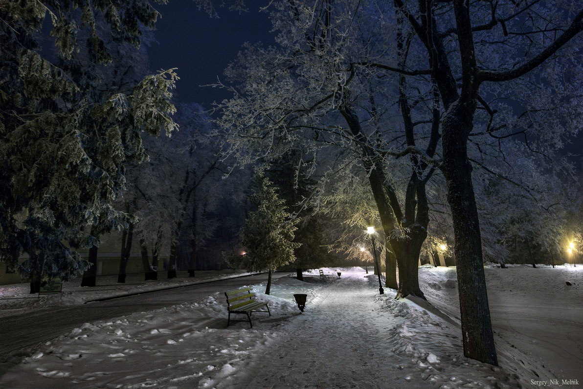 аллея ...без одинокой фигурки в тумане