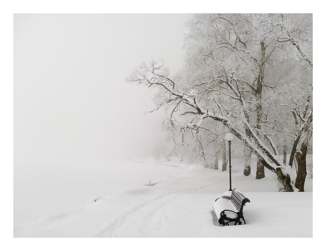 Февральские туманы