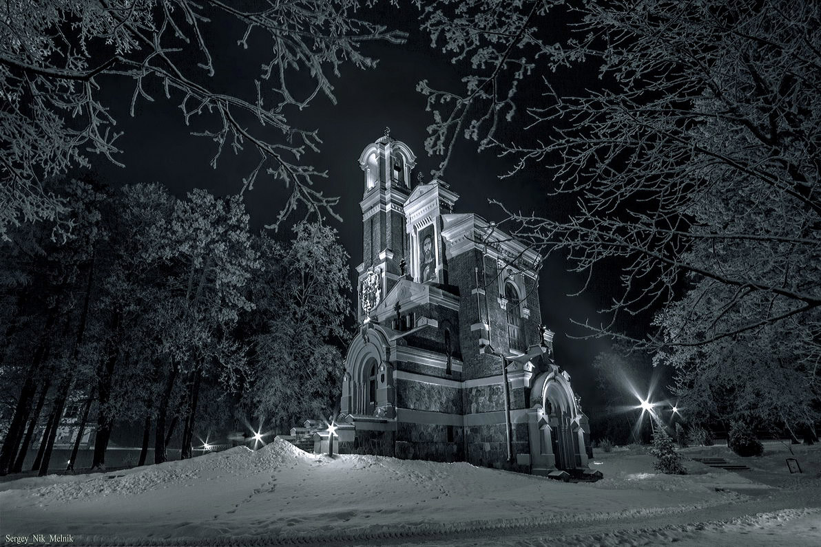 голодные ветки