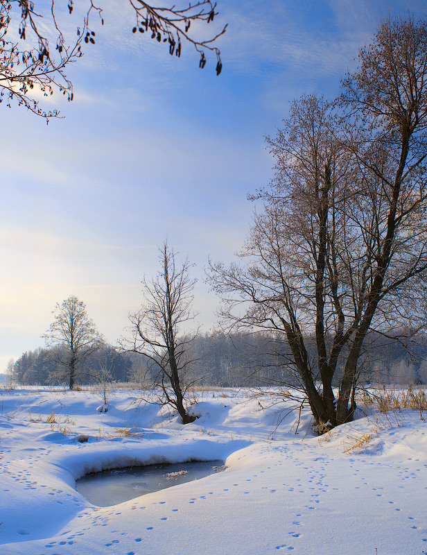 Зимняя Суворощь